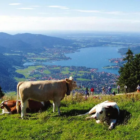 Stylish In Am Tegernsee 公寓 *